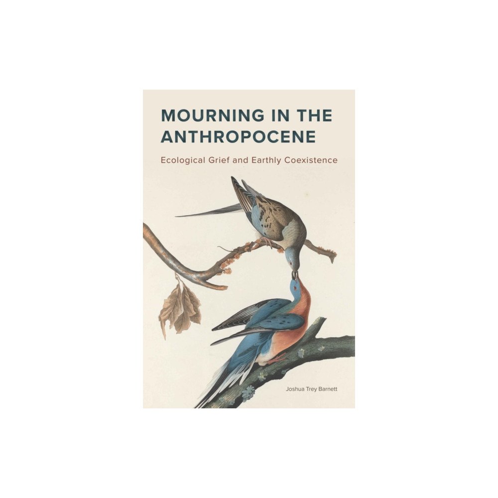 Michigan State University Press Mourning in the Anthropocene (häftad, eng)