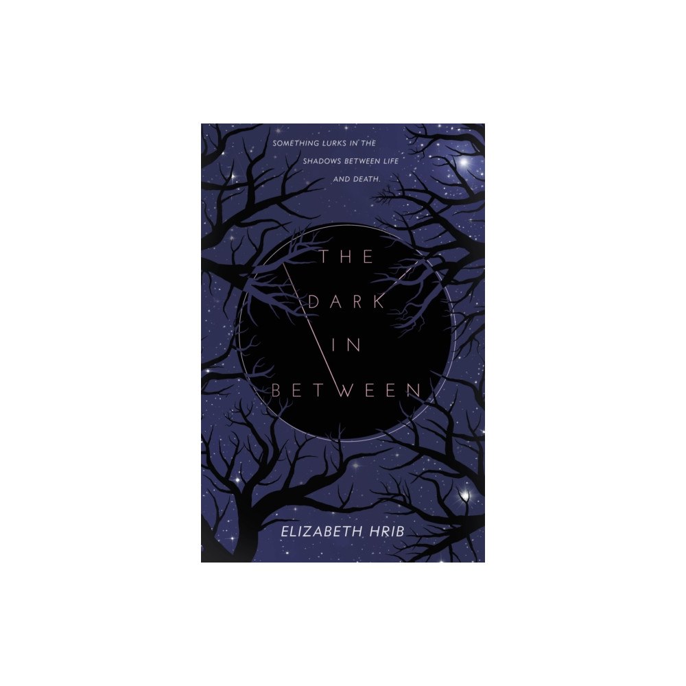Palgrave USA The Dark In-Between (häftad, eng)