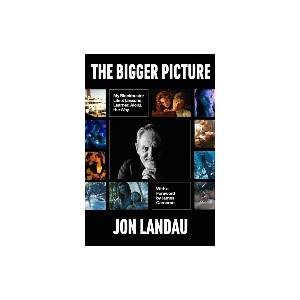 Hyperion The Bigger Picture (häftad, eng)