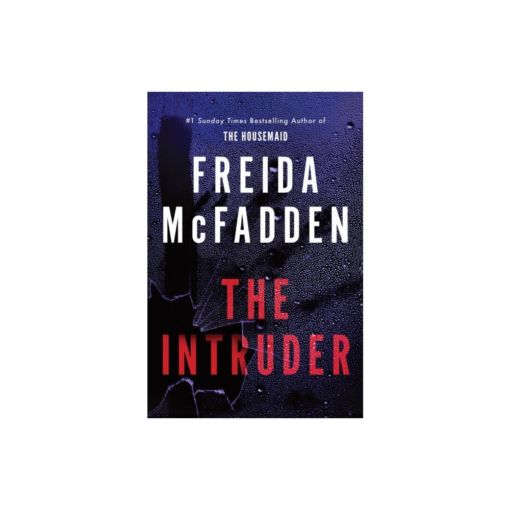 Sourcebooks, Inc The Intruder (häftad, eng)