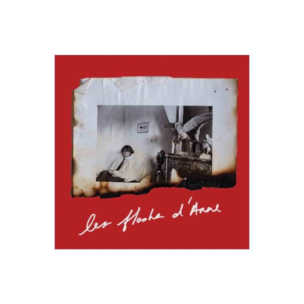 Magic Hour Press Anne Day: Les Flashes D'Anne (häftad, eng)