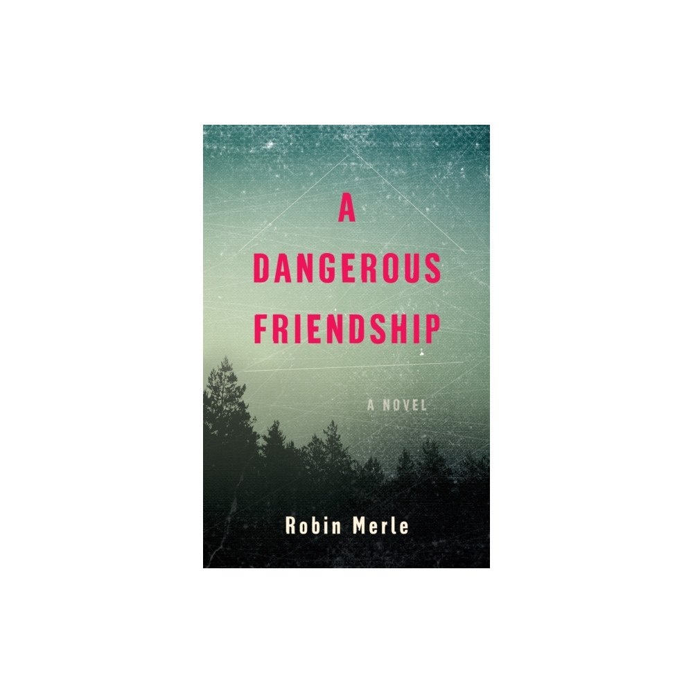 She Writes Press A Dangerous Friendship (häftad, eng)