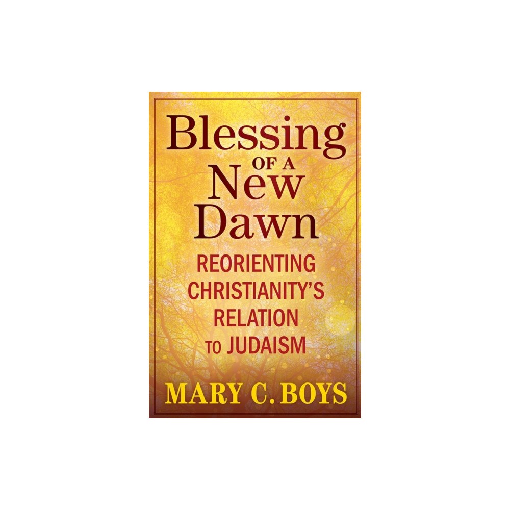 Orbis Books (USA) Blessing of a New Dawn (häftad, eng)