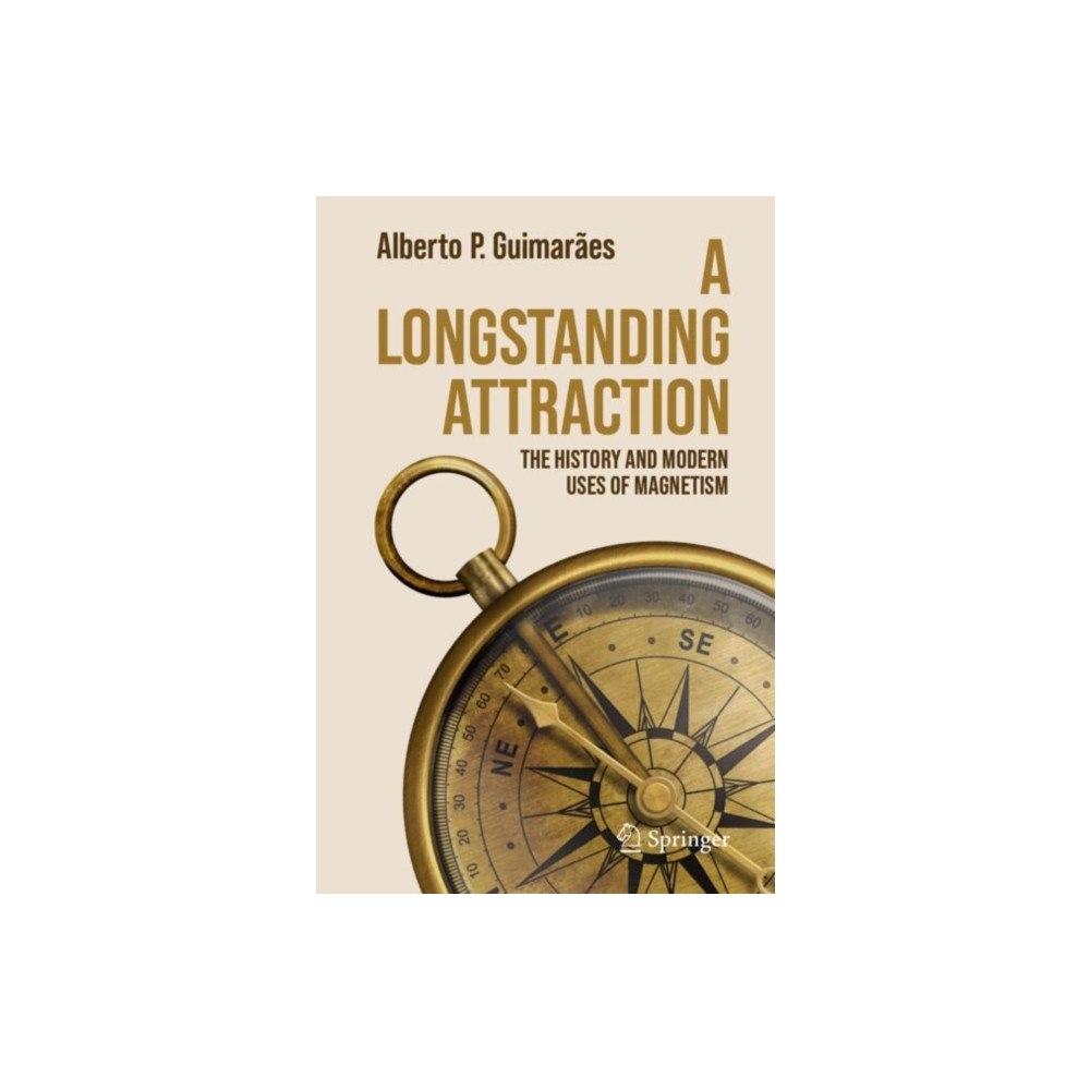 Springer Nature Switzerland AG A Longstanding Attraction (häftad, eng)