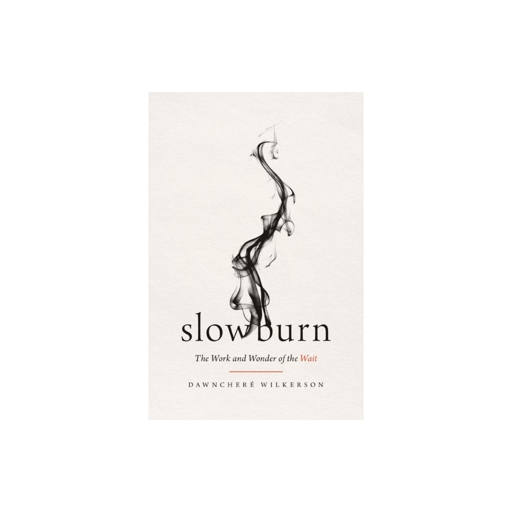 Thomas nelson publishers Slow Burn (häftad, eng)