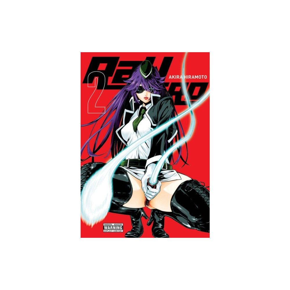 Little, Brown & Company RaW Hero, Vol. 2 (häftad, eng)