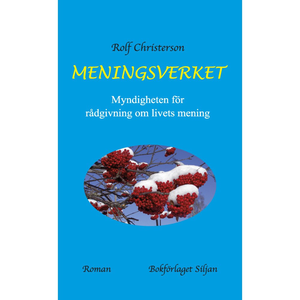 Rolf Christerson Meningsverket : myndigheten för rådgivning om livets mening (bok, kartonnage)