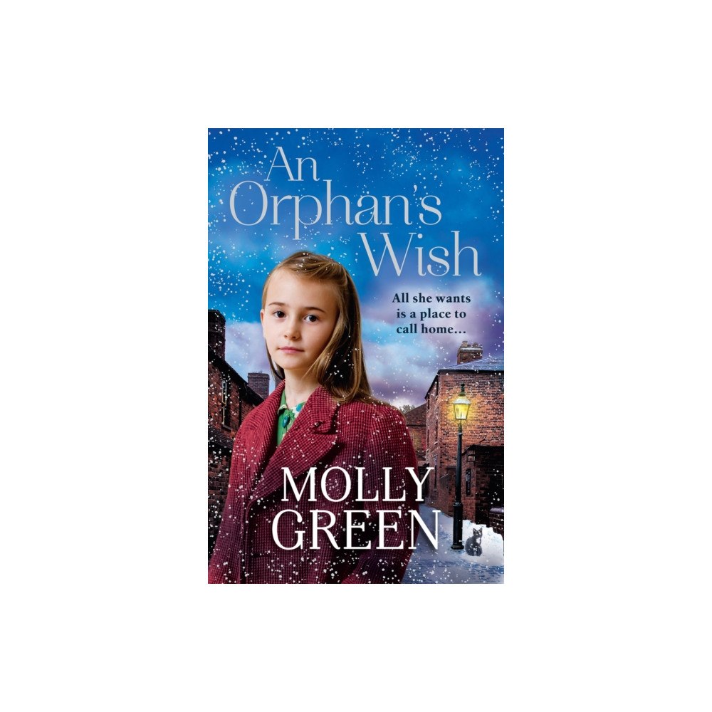 HarperCollins Publishers An Orphan’s Wish (häftad, eng)