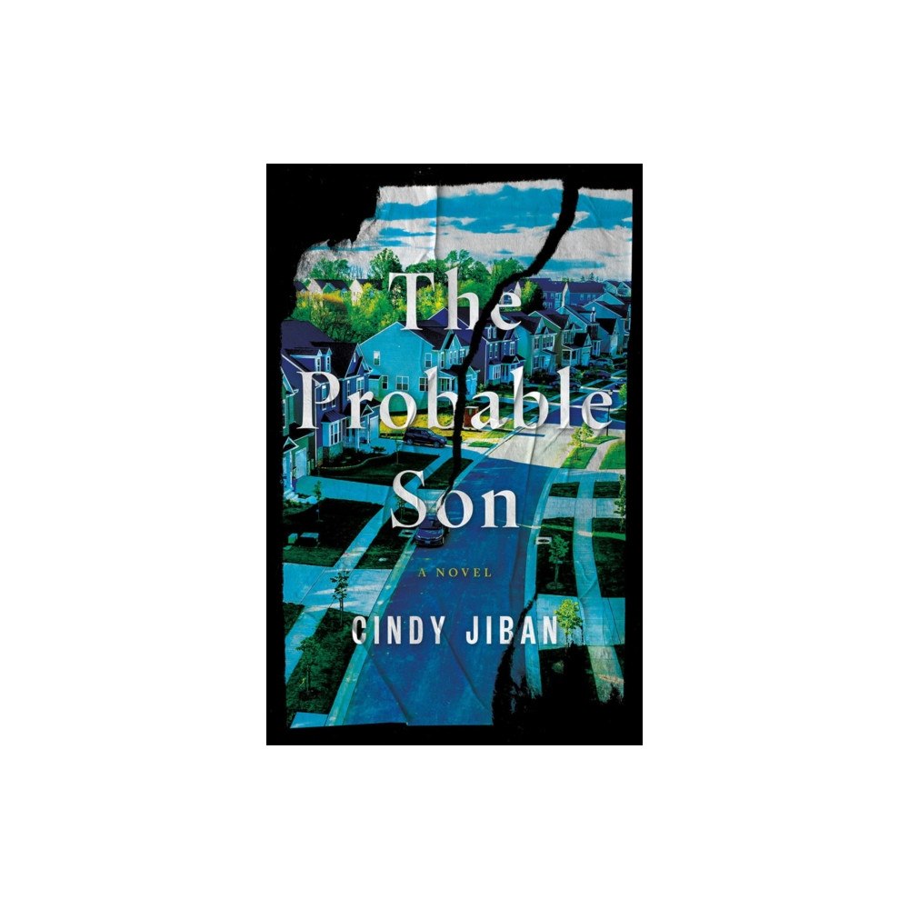 Amazon Publishing The Probable Son (häftad, eng)