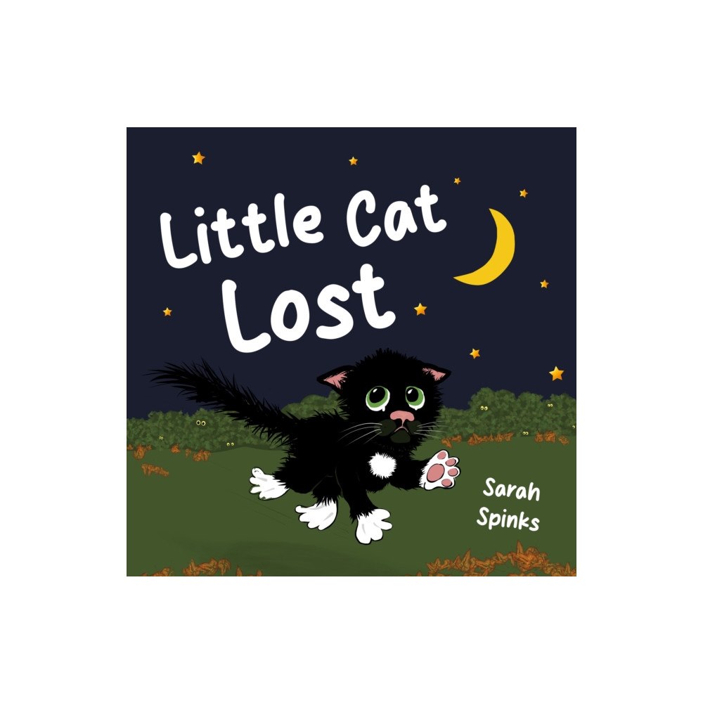 Cranthorpe Millner Publishers Little Cat Lost (häftad, eng)
