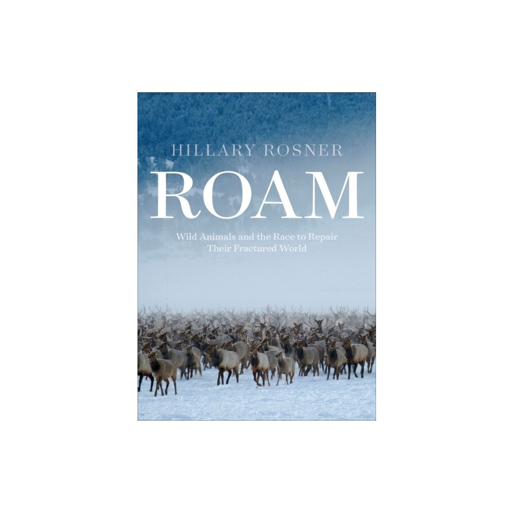 Patagonia Books Roam (inbunden, eng)