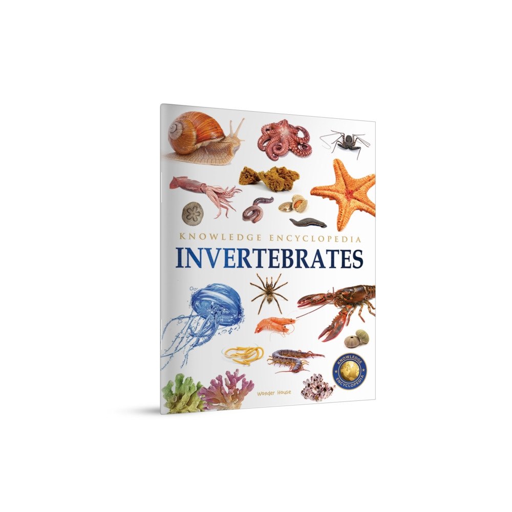 Prakash Books Animals - Invertebrates (häftad, eng)