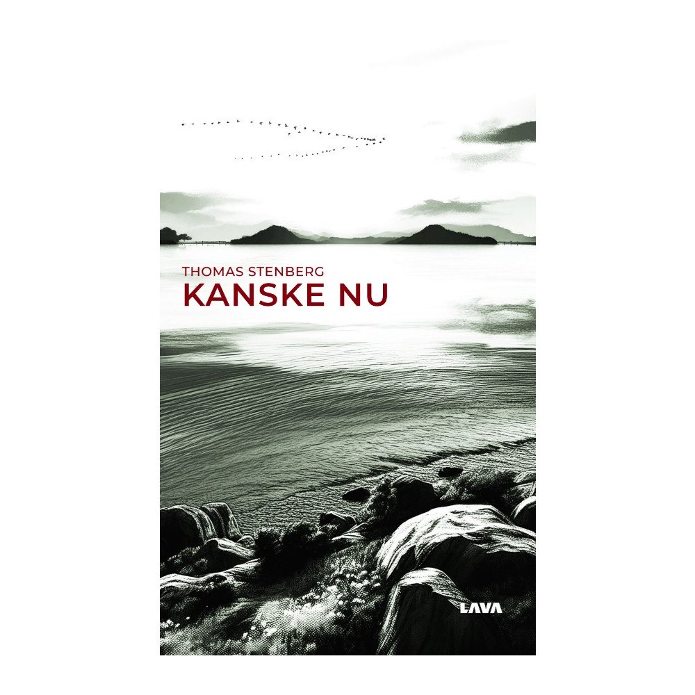 Thomas Stenberg Kanske nu (bok, danskt band)
