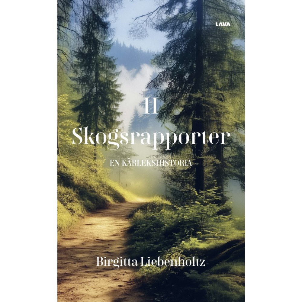 Birgitta Liebenholtz En kärlekshistoria (bok, danskt band)