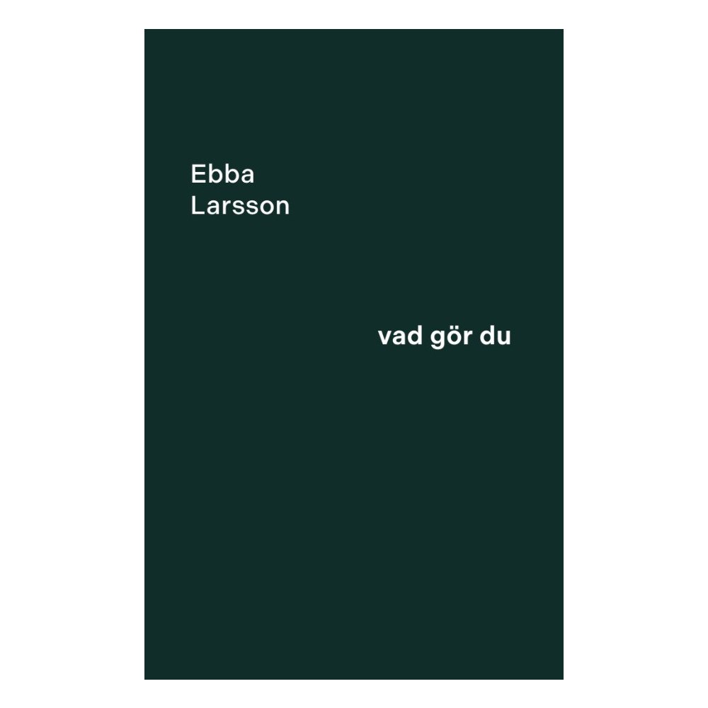 Ebba Larsson Vad gör du (bok, danskt band)