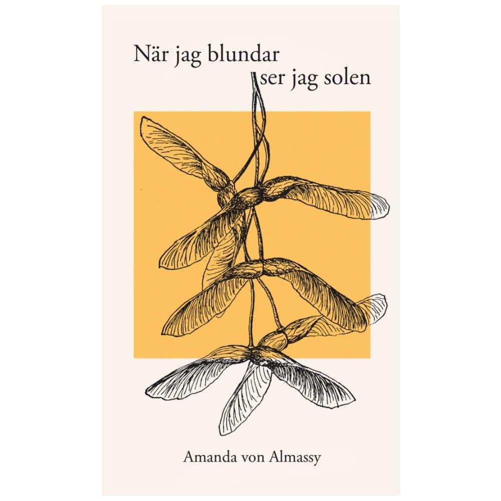 Amanda von Almassy När jag blundar ser jag solen (bok, danskt band)