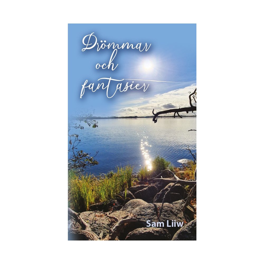 Sam Liiw Drömmar och fantasier (häftad)