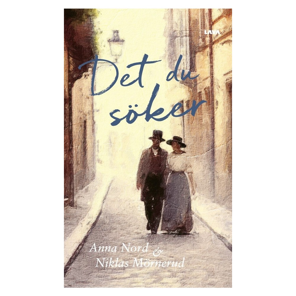 Anna Nord Det du söker (bok, danskt band)