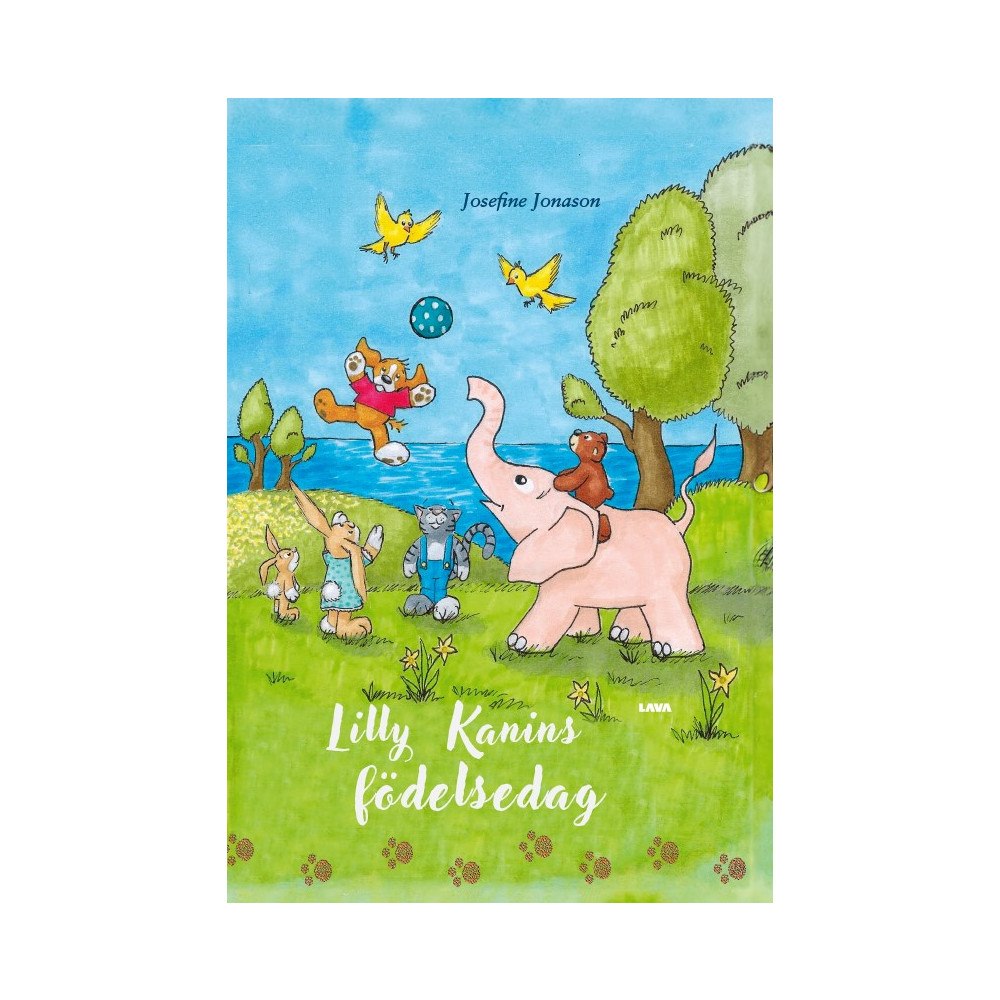 Josefine Jonason Lilly kanins födelsedag (inbunden)