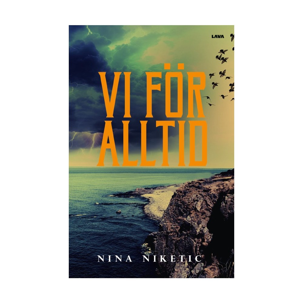 Nina Niketic Vi för alltid (bok, danskt band)