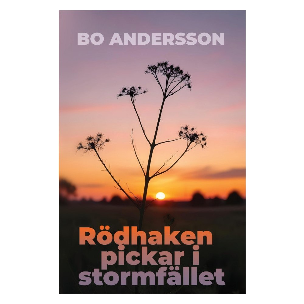 Bo Andersson Rödhaken pickar i stormfället (bok, storpocket)