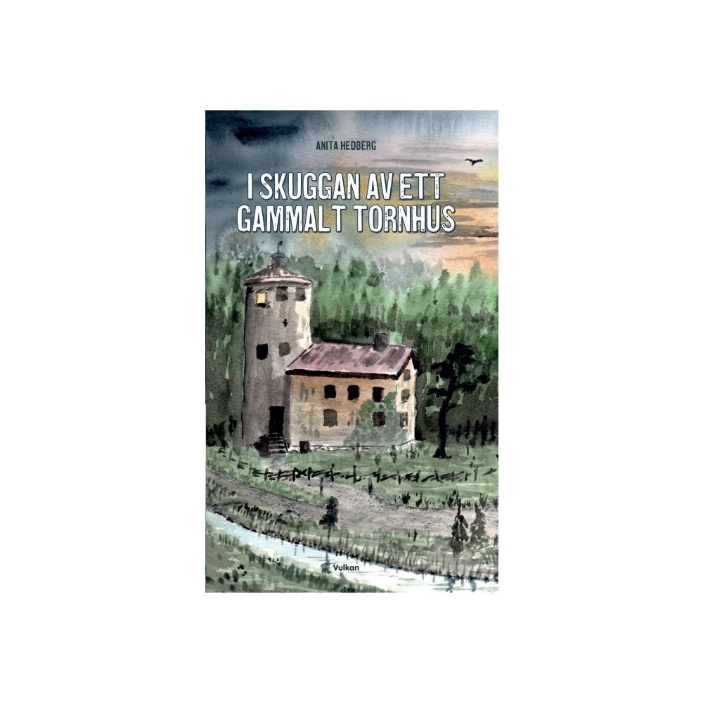 Anita Hedberg I skuggan av ett gammalt tornhus (häftad)