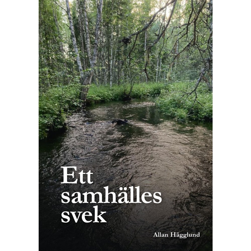 Allan Hägglund Ett samhälles svek (häftad)