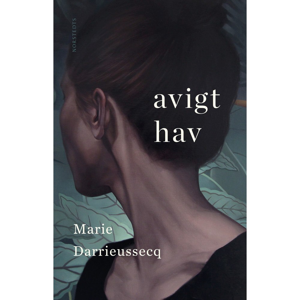 Marie Darrieussecq Avigt hav (inbunden)
