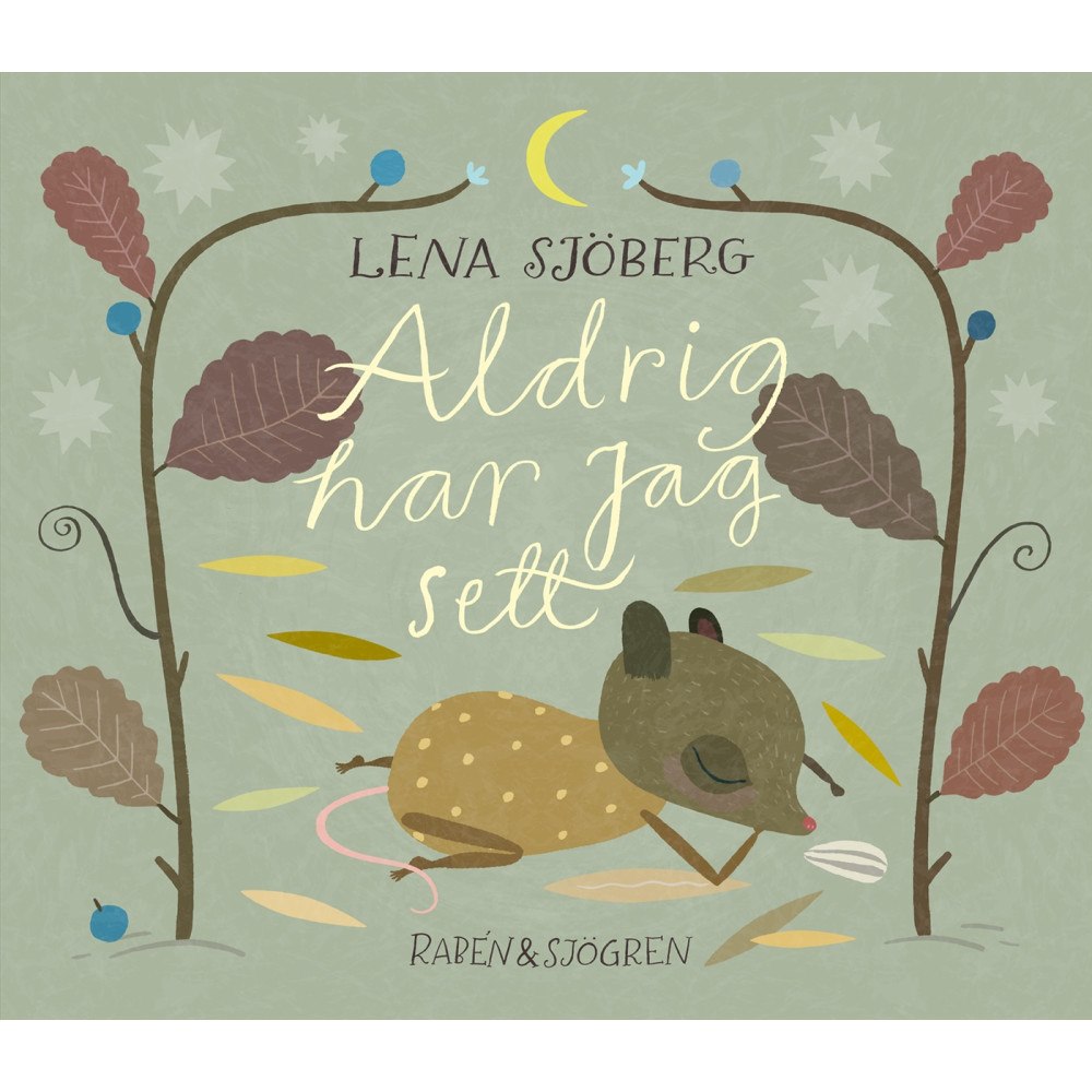 Lena Sjöberg Aldrig har jag sett (inbunden)