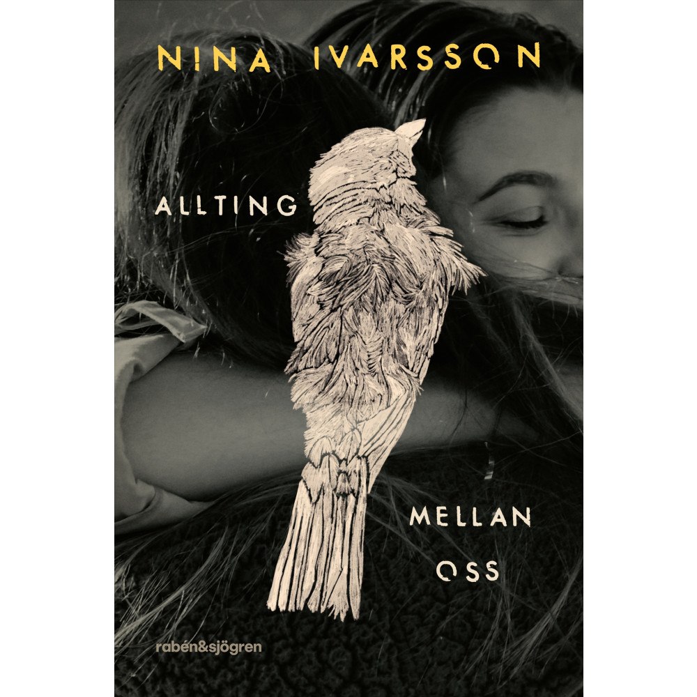 Nina Ivarsson Allting mellan oss (bok, flexband)