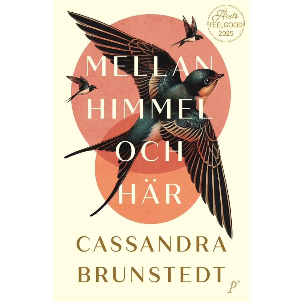 Cassandra Brunstedt Mellan himmel och här (pocket)
