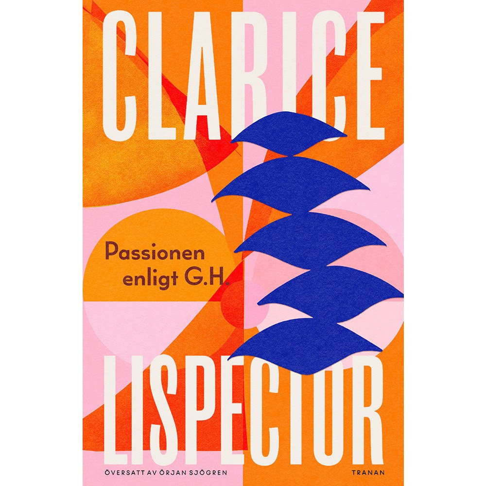 Clarice Lispector Passionen enligt G. H. (inbunden)