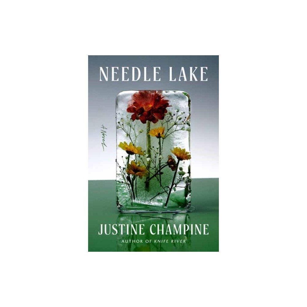 Random House USA Inc Needle Lake (inbunden, eng)