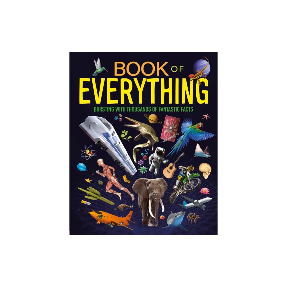 Igloo Books Book of Everything (häftad, eng)