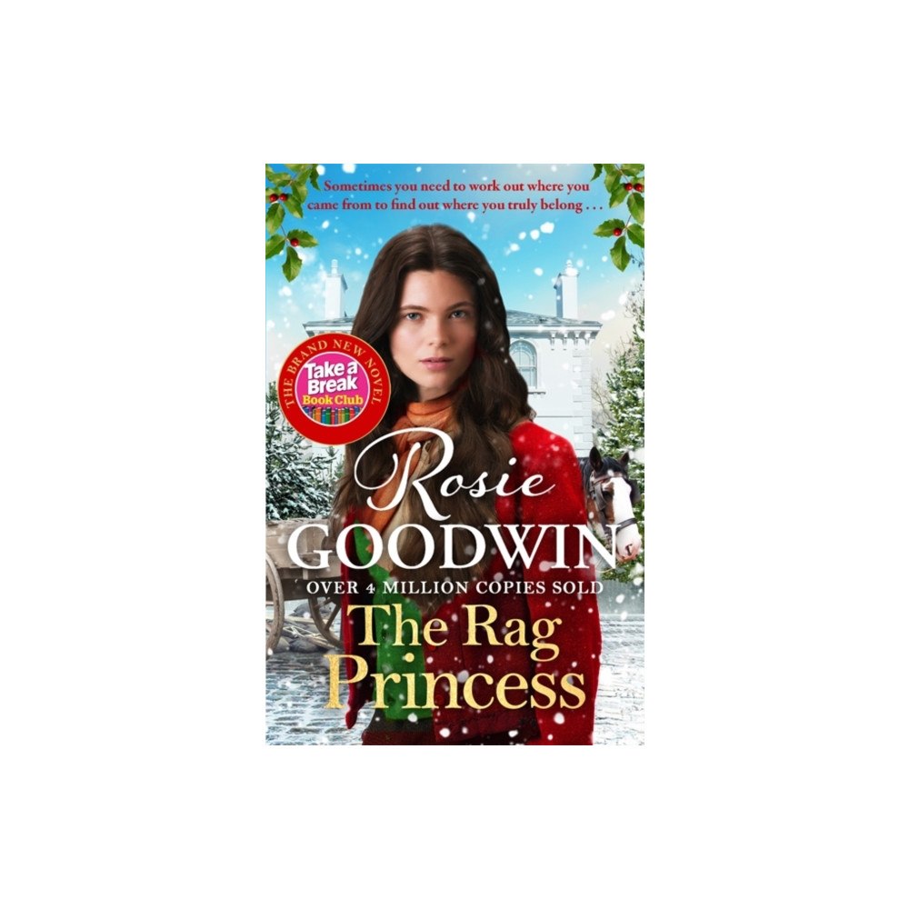 Bonnier Books Ltd The Rag Princess (häftad, eng)