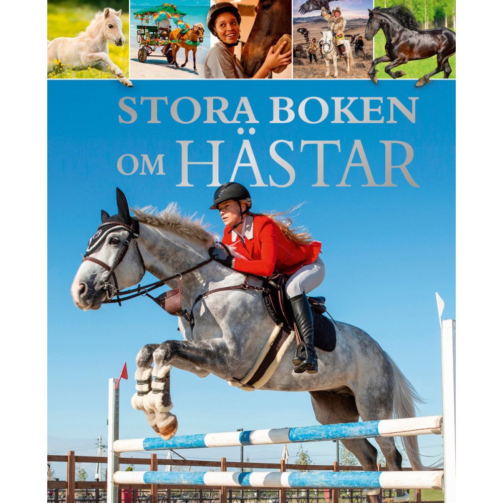 Barthelson Förlag Stora boken om Hästar (inbunden)