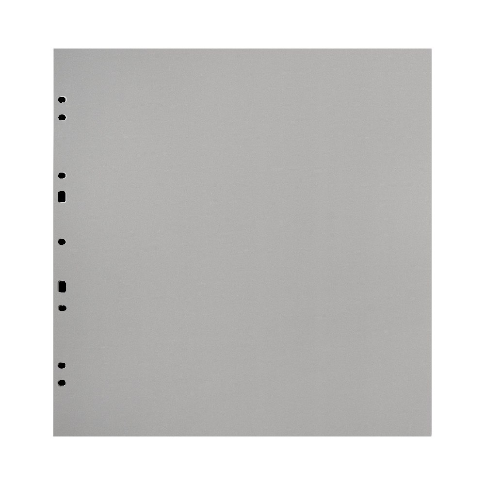 FOCUS Focus Carton Refillsheets for Ringbinder Gigant Grey 10-pack