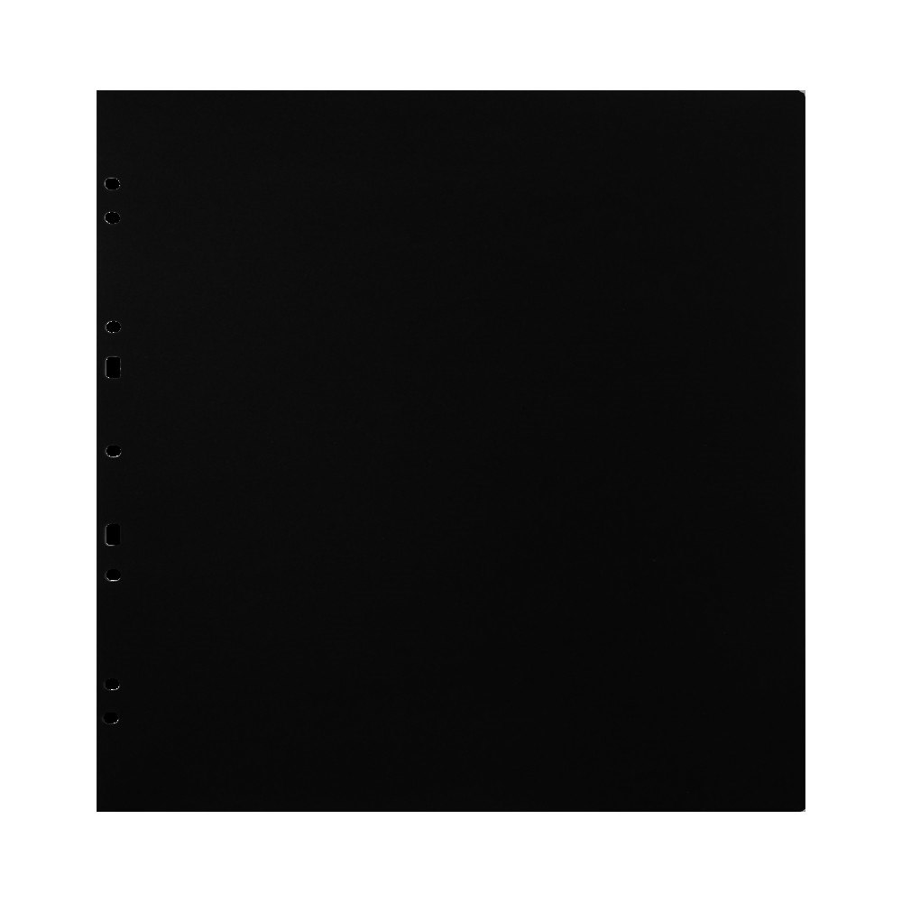 FOCUS Focus Carton Refillsheets for Ringbinder Gigant Black 10-pack