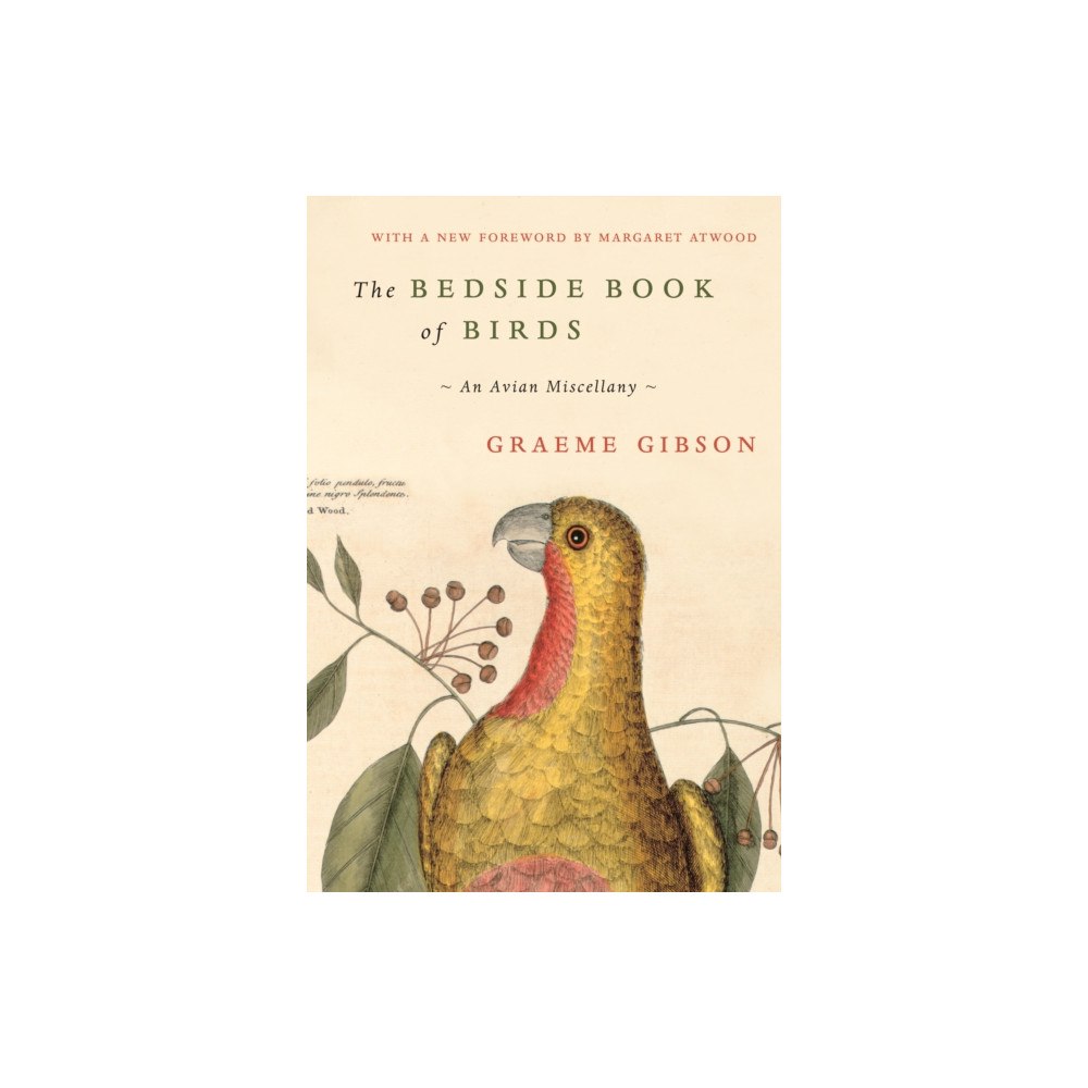 Not Stated The Bedside Book of Birds (häftad, eng)