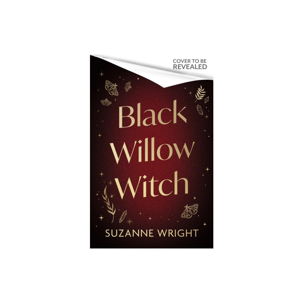 Little, Brown Book Group Black Willow Witch (häftad, eng)