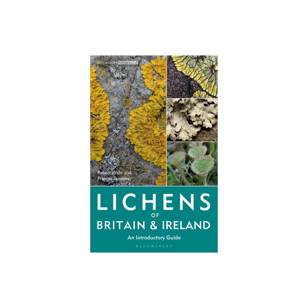 Bloomsbury Publishing PLC Lichens of Britain and Ireland (häftad, eng)