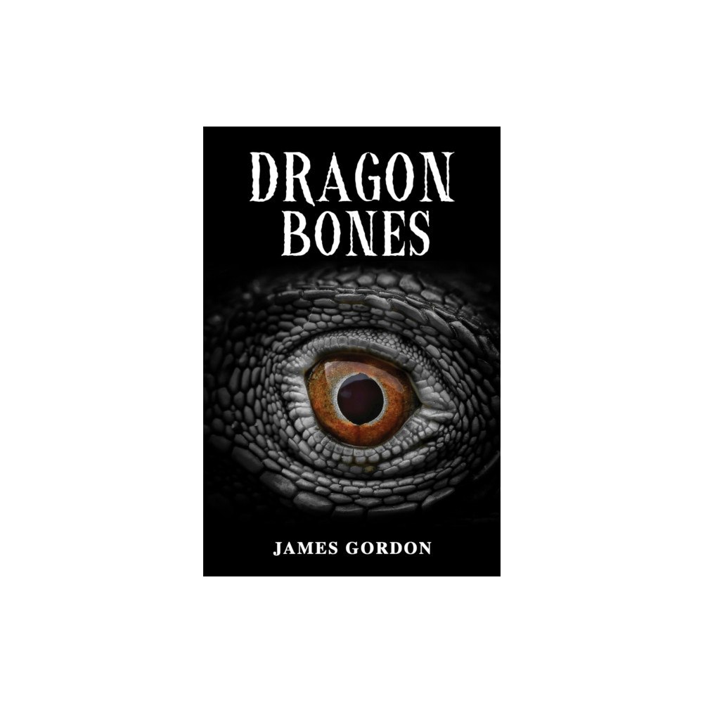 Austin Macauley Publishers Dragon Bones (häftad, eng)