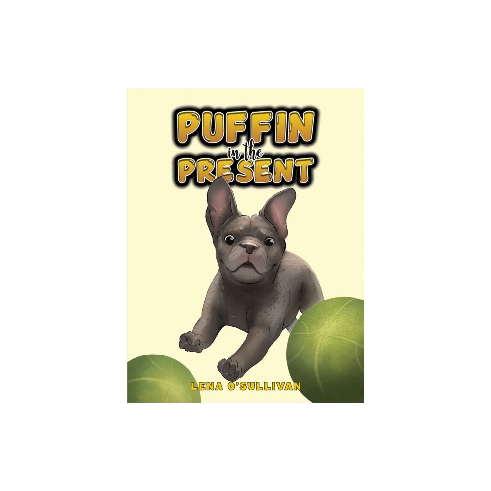 Austin Macauley Publishers Puffin in the Present (häftad, eng)