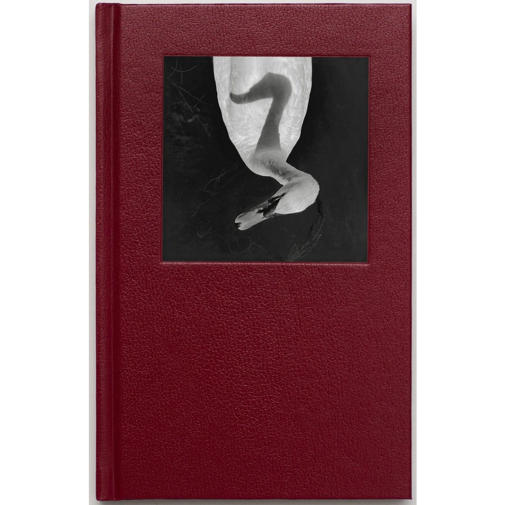 Jerker Anderssons Förlag Animal Diary (inbunden)