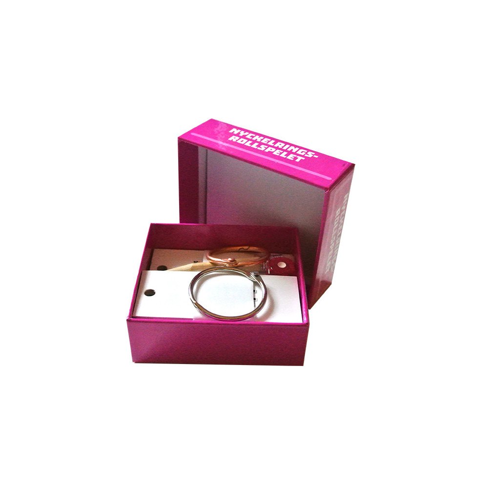 Åsa Roos Nyckelringsrollspelet (bok)