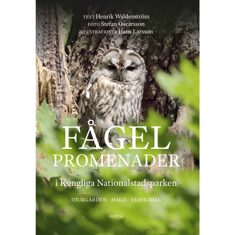 Henrik Waldenström Fågelpromenader i Kungliga nationalstadsparken (bok, flexband)