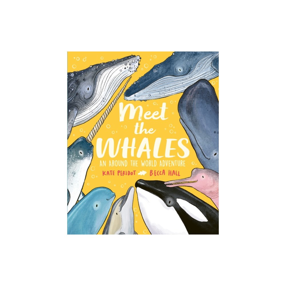 Hachette Children's Group Meet the Whales (inbunden, eng)