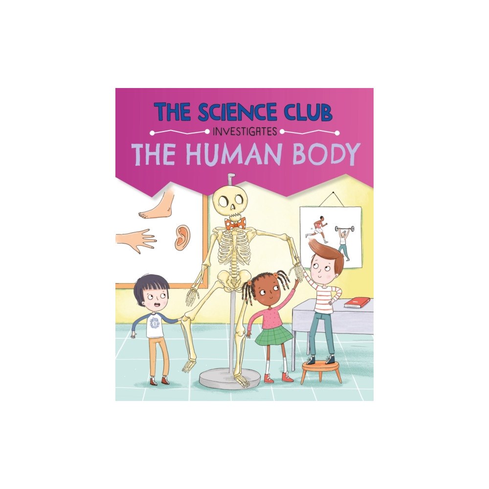 Hachette Children's Group The Science Club Investigates: The Human Body (häftad, eng)