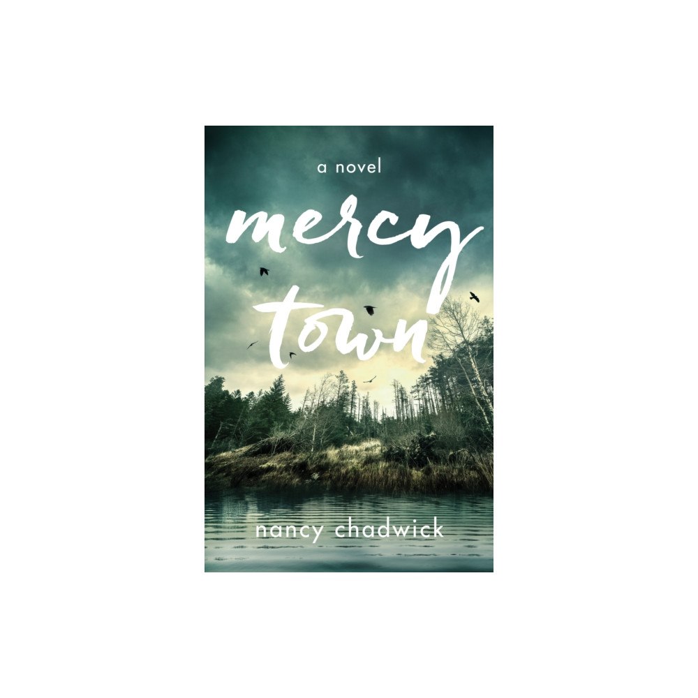 She Writes Press Mercy Town (häftad, eng)