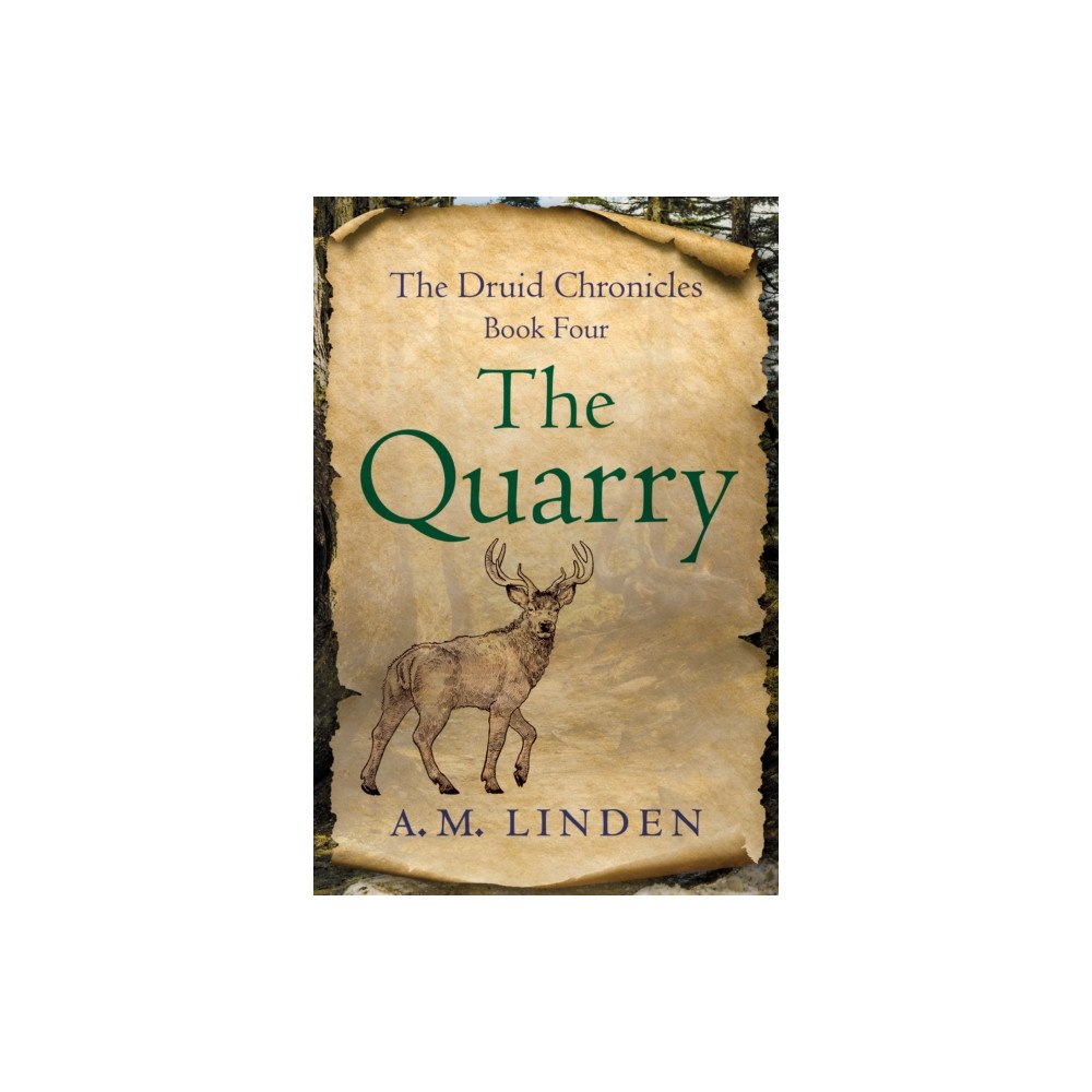 She Writes Press The Quarry (häftad, eng)